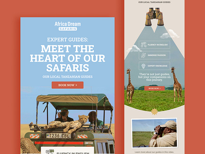 Africa Dream Safaris Klaviyo Email Design email email design graphic design klaviyo klaviyo design klaviyo email klaviyo email design safari