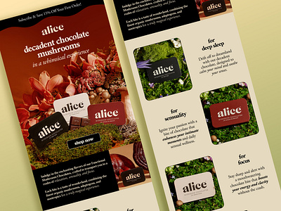 Alice Mushrooms Email Design design email email design graphic design klaviyo klaviyo design klaviyo email klaviyo email design