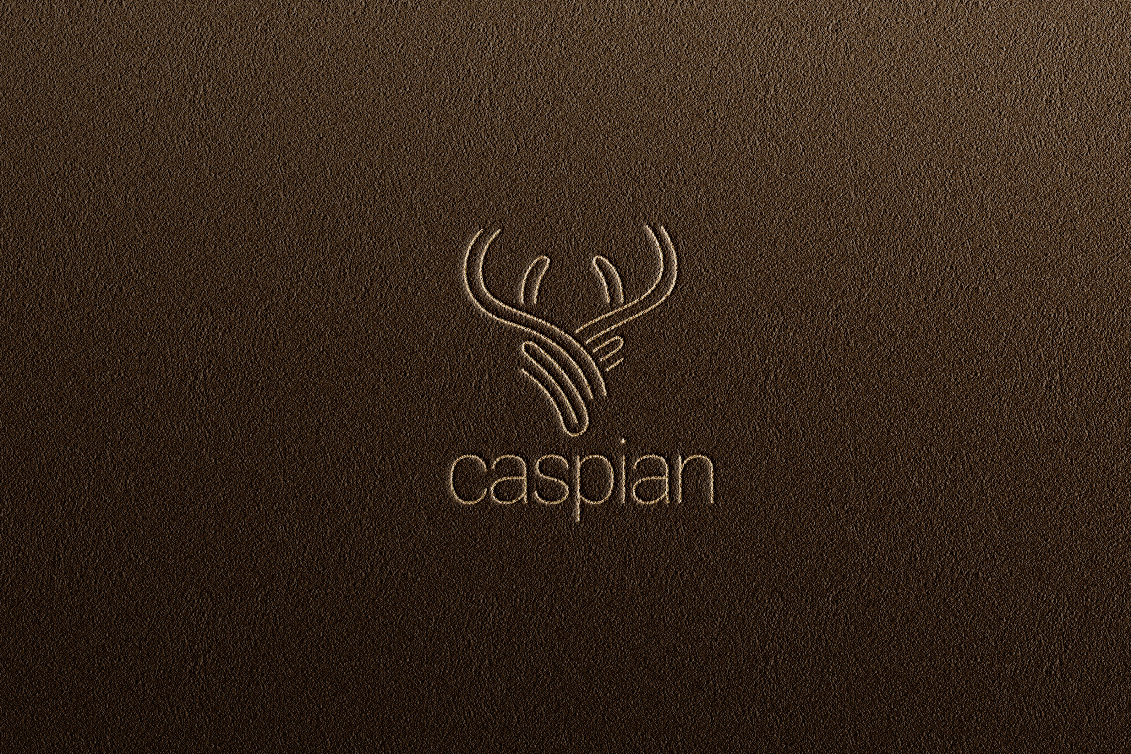 Modern Minimalism branding design graphic design illustrator logo vector