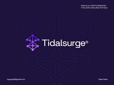 Tidalsurge® - logo design abstract logomark brand design brand identity branding innovative innovation logo logo branding logo design logo designer minimalist logo modern logo professional designer saas startup startup company business tech tech security technology technology logos