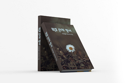 Book Cover Design branding graphic design print design