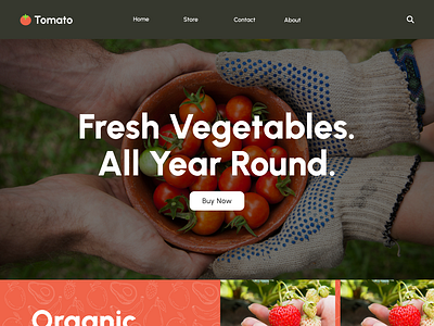 Tomato Vegetable Store Landing Page UI Design design ecommerce figma graphic design landing page ui user interface design ux