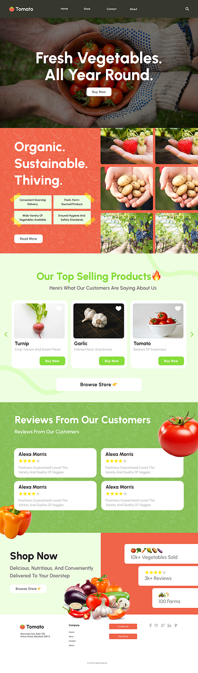 Tomato Vegetable Store Landing Page UI Design design ecommerce figma graphic design landing page ui user interface design ux