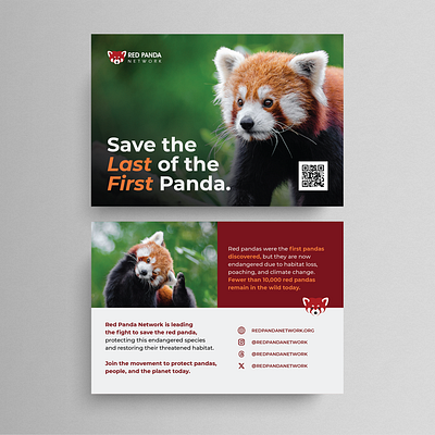 Outreach Postcard for Red Panda Network animal campaign design environmental extinction graphic design nonprofit outreach postcard print