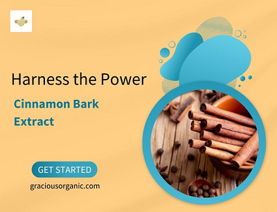 Harness the Power of Cinnamon Bark Extract cinnamon bark extract