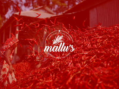 Mallu's Spices Package Design branding graphic design logo motion graphics