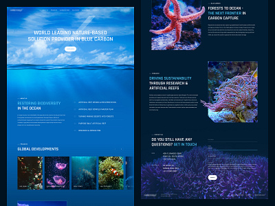 Website design for artificial reef development company