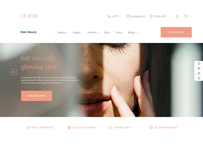 Ekko Beauty graphic design ui