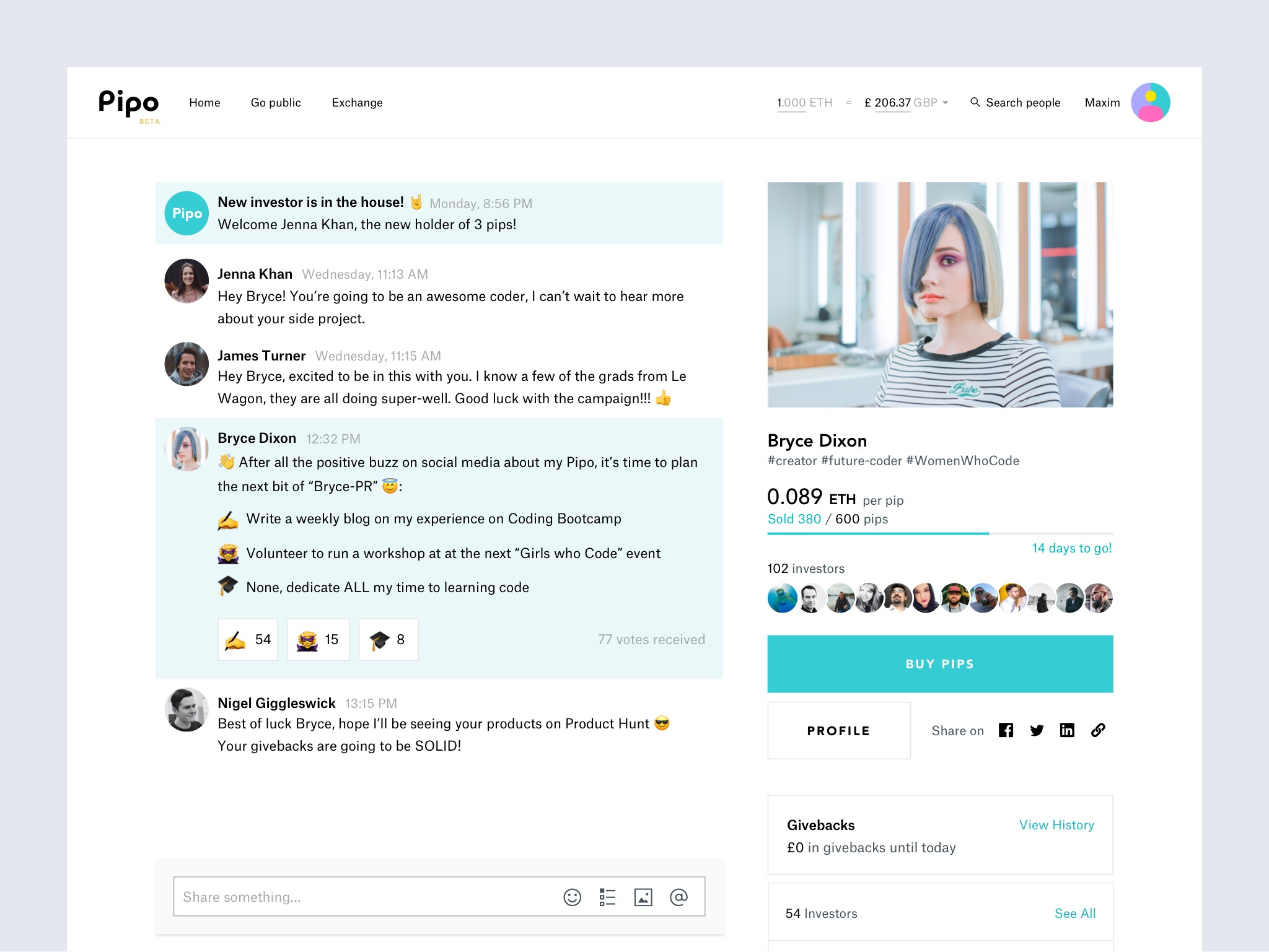 Crowdfunding Platform Pipo - Issuer Profile crowdfunding platform flat graphic design profile saas ui ui elements user interface web app web design