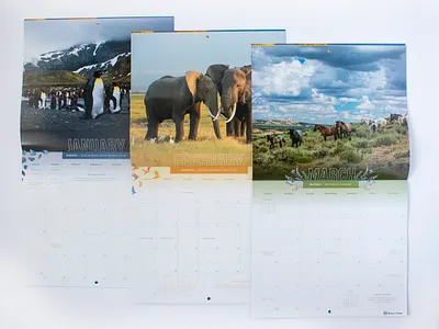 Wild Kingdom Calendar animals calendar kingdom wild wildlife
