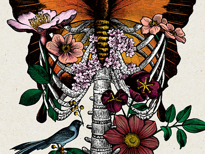 Mortality and the Imagination — AHD art bones book botanical butterfly collage cover dallas death engraving floral graphic design illustration mortality nonprofit organic publication design resurrection skeleton