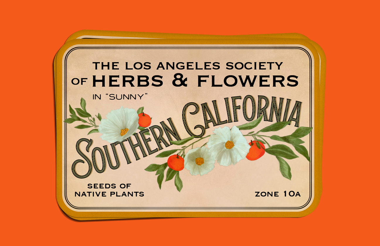 Herbs and Flowers of California Card branding california club flowers garden gardening hand painted herbs los angeles oranges plants postcard seeds typography vintage vintage brand vintage branding vintage card vintage type