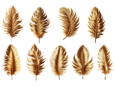 set of golden feather. isolate on transparent background nature