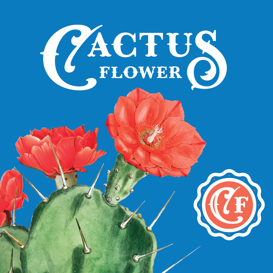 Cactus Flower branding cactus cannabis illustration packaging