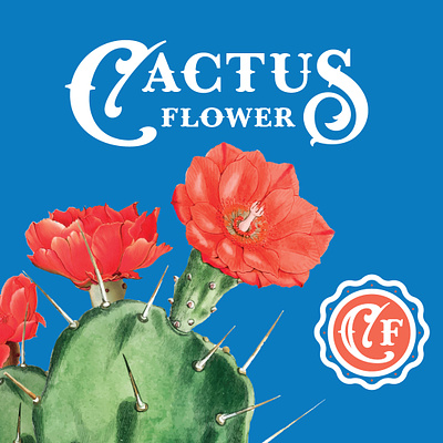 Cactus Flower branding cactus cannabis illustration packaging