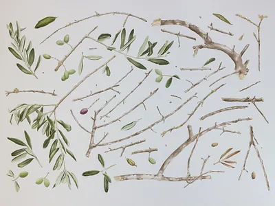 Every Little Thing artwork botanical brown design green handmade illustration olive olive branch olive tree painting traditional art watercolor watercolour