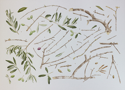Every Little Thing artwork botanical brown design green handmade illustration olive olive branch olive tree painting traditional art watercolor watercolour