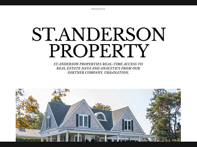 St.Anderson Properties typography ui design website design