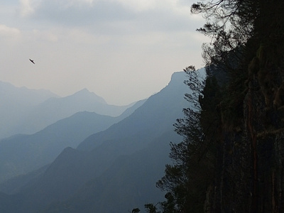 Kodaikanal!