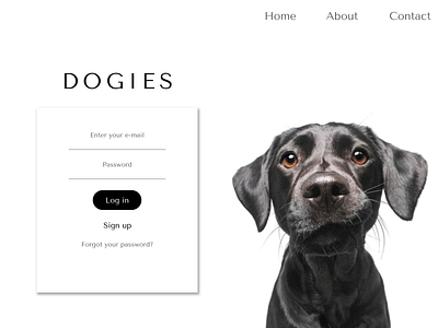 App about dogs ) app design interface ui