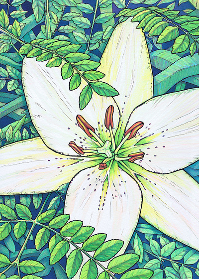 White Lily analog botanical flower garden illustration ink