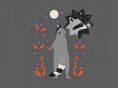 Raccoon's Lantern fireflies floral folk illustration illustrator nature night raccoon