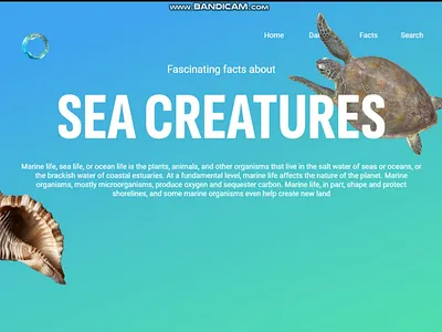 Sea Creature 3d animation graphic design ui