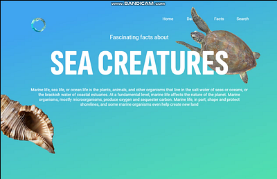 Sea Creature 3d animation graphic design ui