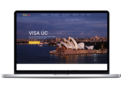 Landing Page Visa branding ui