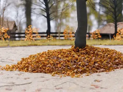 Oak Leaf Pile 3D Model