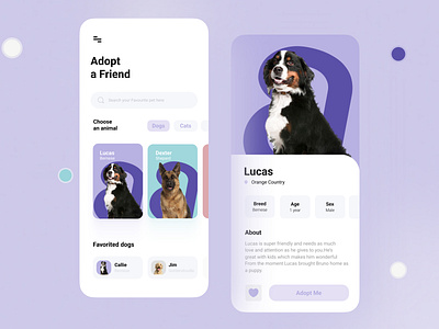 Pet adoption Mobile app animation app branding design graphic design pet pet adoption mobile app ui ux