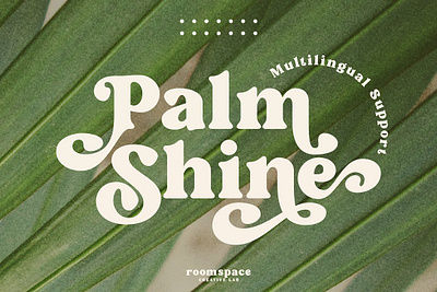 Palm Shine - Bold Swirl Serif3 decorative elegant fonts fun headline serif legible logo magazine modern palm shine bold swirl serif3 popular posh retro sans script stylish glossy swirl v vintage web font