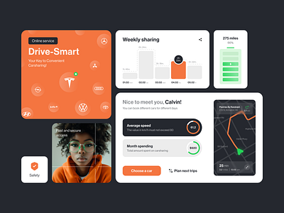 Carsharing UI-UX design interface product service startup ui ux web website