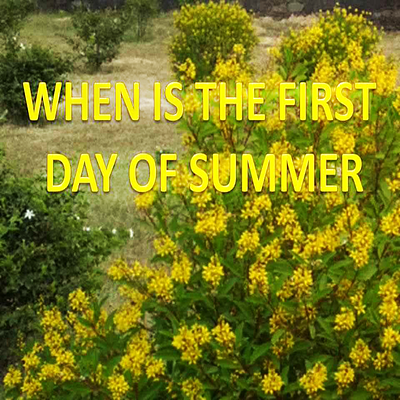 When is The First Day of Summer 2024 firstdayofsummer firstdayofsummer2024 firstdayofsummercanada firstdayofsummeruk firstdayofsummerusa happyfirstdayofsummer happyfirstdayofsummerimages happyfirstdayofsummerwishes whenisthefirstdayofsummer