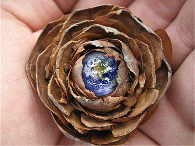 Photo of a pinecone and added the Earth.