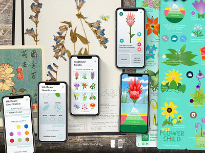 Figma fun days banff national park brand creative direction design game hike identity illustration thewayfindercompany wild flowers wildflower child