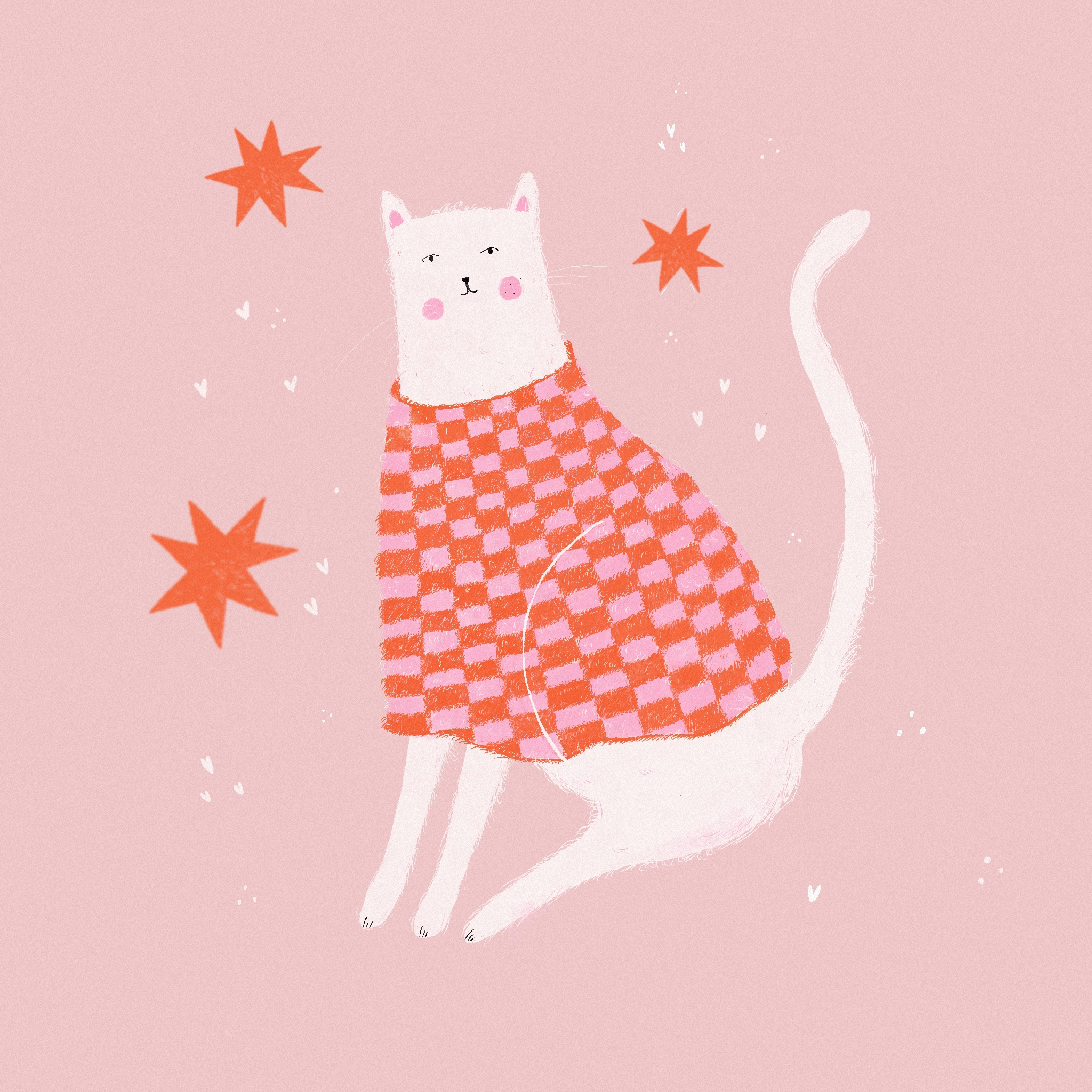 Cute kitty in sweater art digital art drawing illustration procreate valentines day