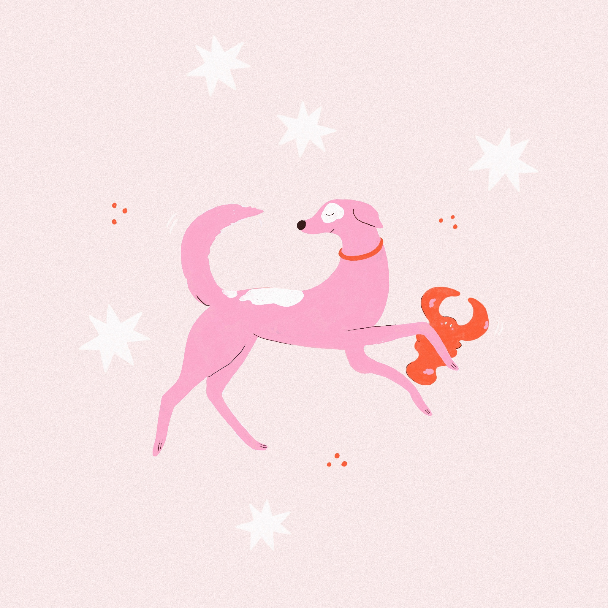 Happy doggo with his fav toy digital art drawing illustration procreate