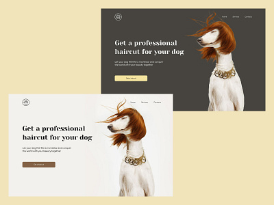 Design concept for groomer [02] design design concept dog figma groomer hair landing pets photoshop uxui design web design