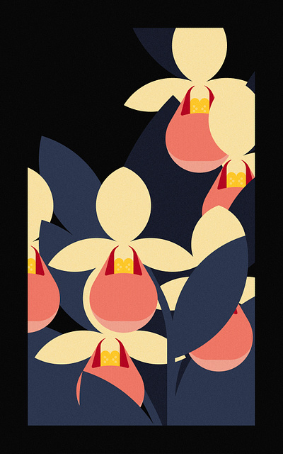 SHOWY LADY’S SLIPPER (2024) design floral graphic design illustration minimal illustration nature vector wildlife