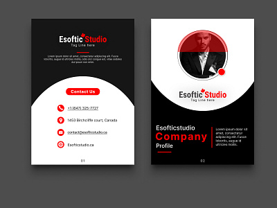 Company Profile company profile graphic design ui