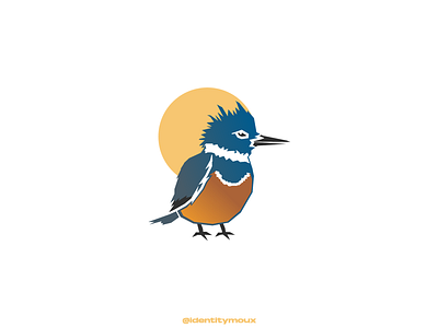 Martin Pescador King Fisher Logo bird brand branding design fauna graphic design illustration king fisher logo logofolio martin pescador patagonia vector