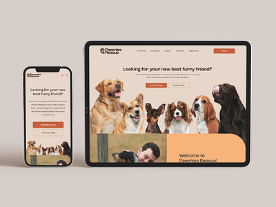 Dog Finding Website Design adoption dog finding graphic design modern pet finder ui ux website