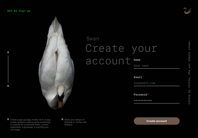 Swan - Sign up web design dailyui day01 ui web webdesign