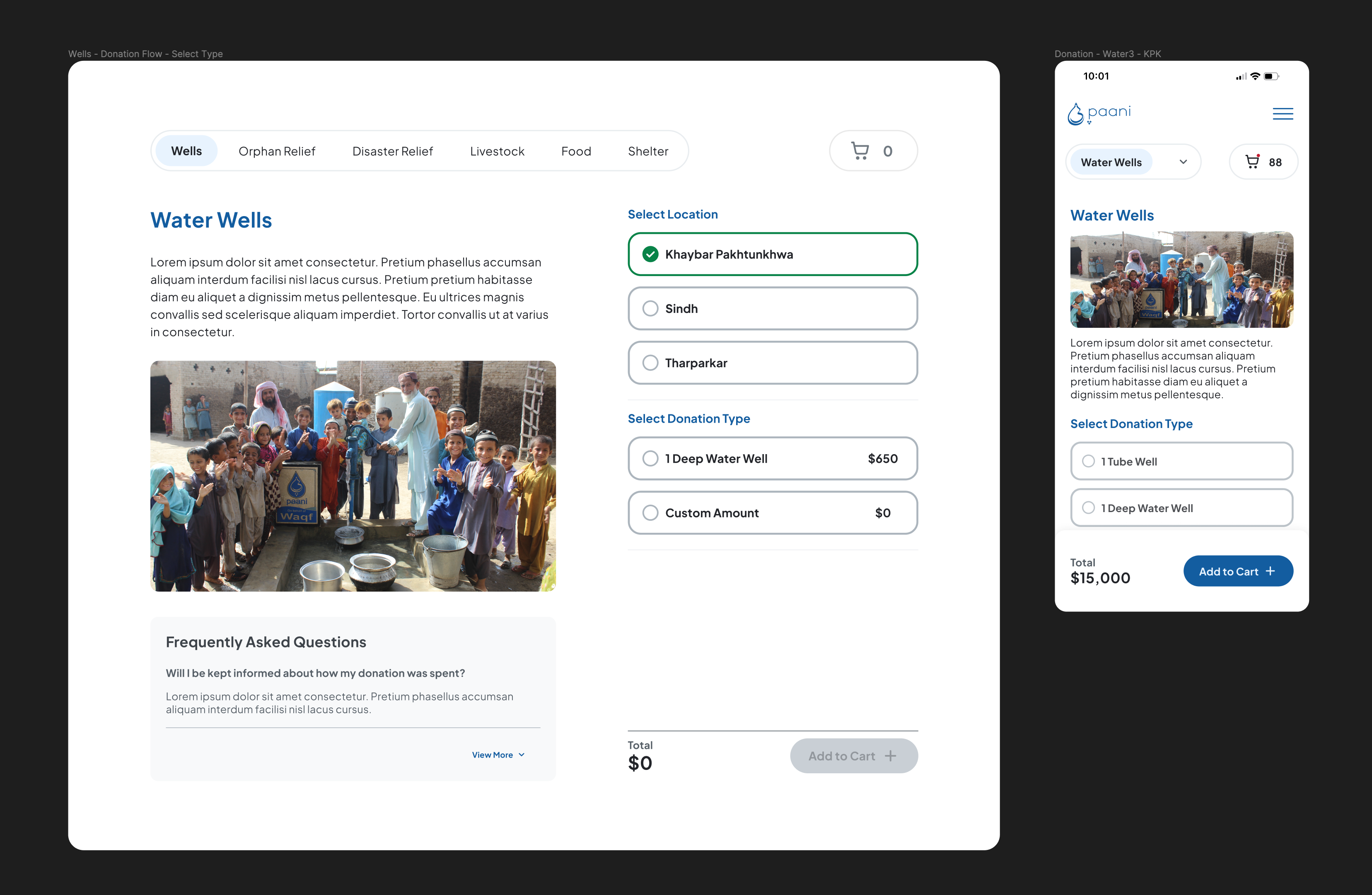 Donation Buy Flow buyflow checkout donating donation minimal simple