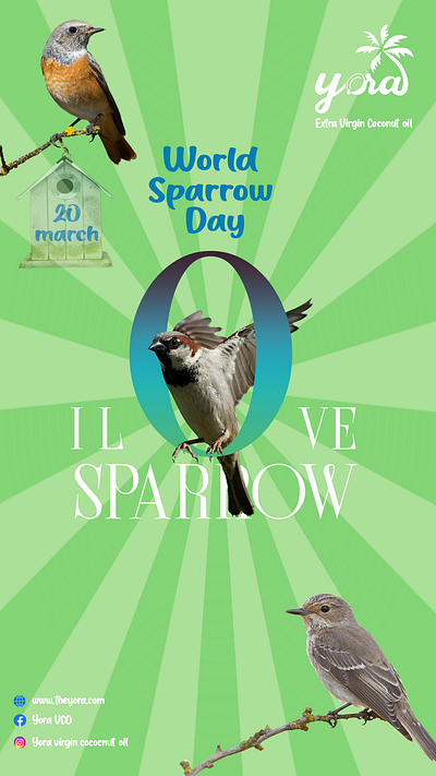 World Sparrow Day 2024 design graphic design social media wish post