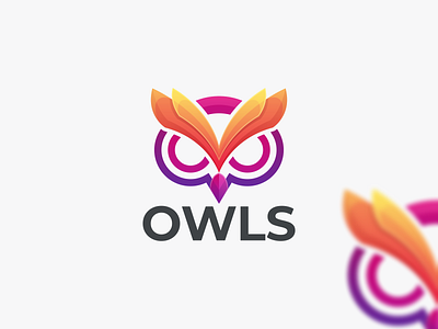 OWLS branding design graphic design logo owl coloring owl logo owls