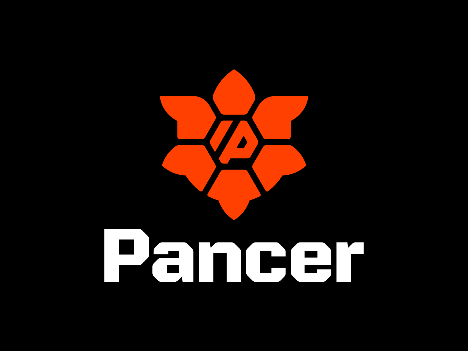 Panzer icon logo logodesign logotype monogram p panzer protect shell sign symbol turtle workwear