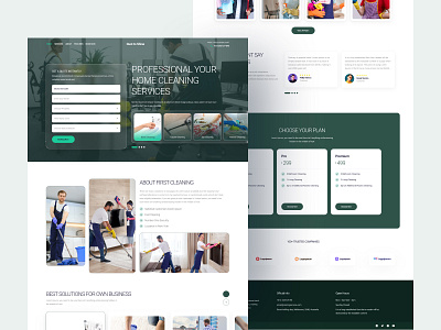 Dust to Shine - Cleaning Services Landing Page UI Design branding cleaning design graphic design illustration landing page page ui ux vector wash website