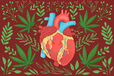 Heart Illustration biomedical body cannabis design drawing floral graphic design human illustration leaves medical modern
